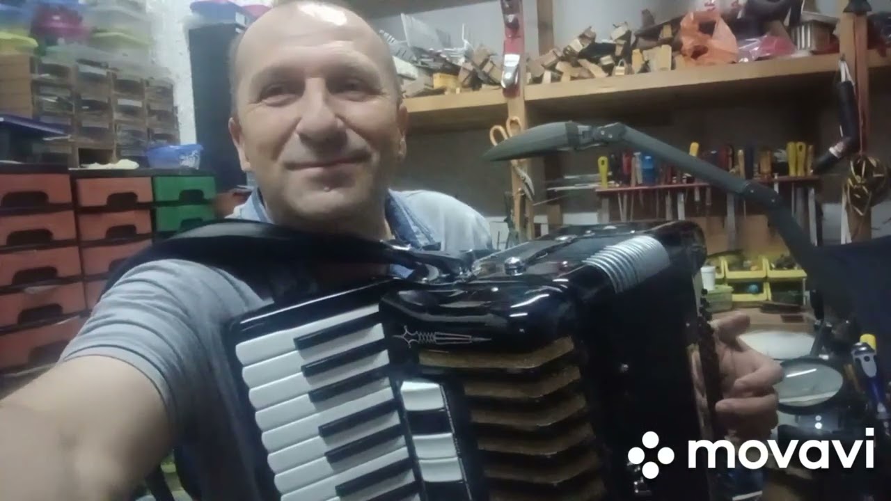 Servis harmonika Dane Loznica +38164 420 5721