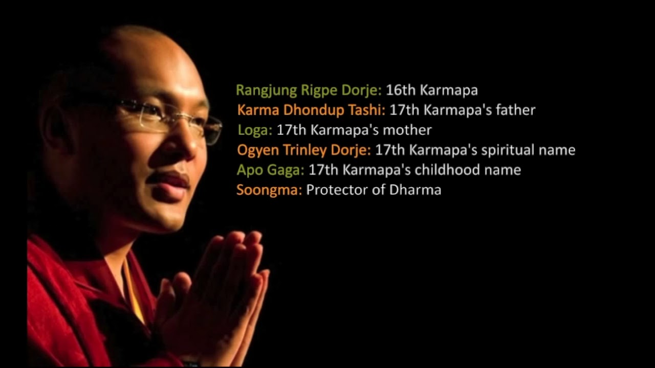 Song for Karmapa: Karmapa cheeno