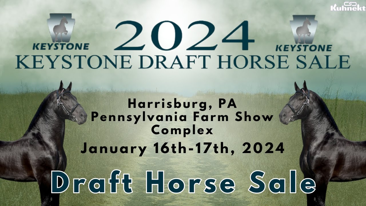 Sale of Daft Horses - 2024 Keystone Draft Horse Sale