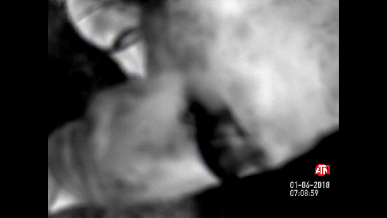 Alabama Bigfoot Thermal and IR Footage Bigfoot Hunting