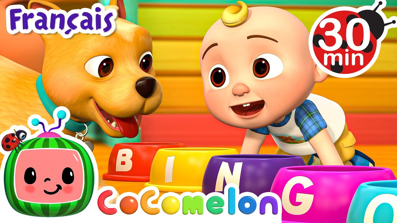 Il s'appelait Bingo! | CoComelon en Français | Chansons pour bébés