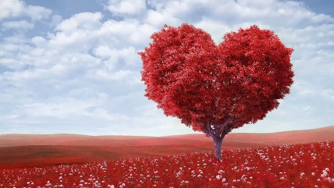 Peaceful music, Relaxing music, Instrumental Musc 
