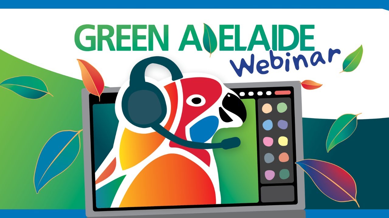 Webinar — Flight of the Australian white ibis