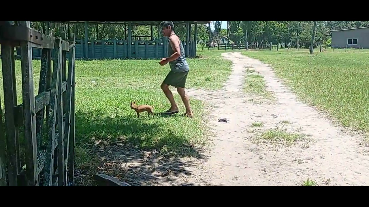 Genteeee não acredito no que estou vendo 😱😱