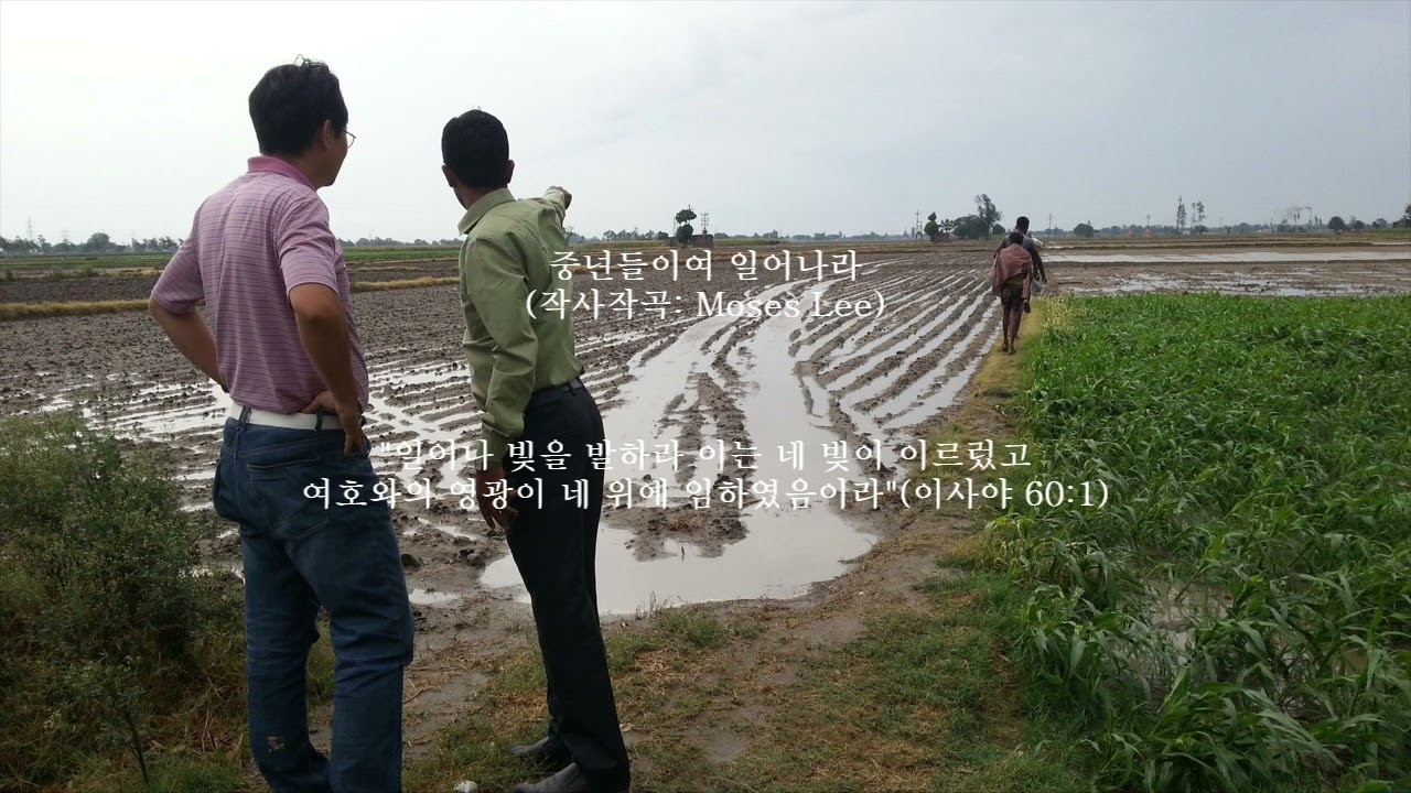 중년들이여 일어나라 (작사작곡: Moses Lee)