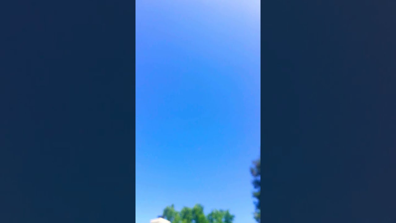 Mendo breath X blue cookies outdoor grow