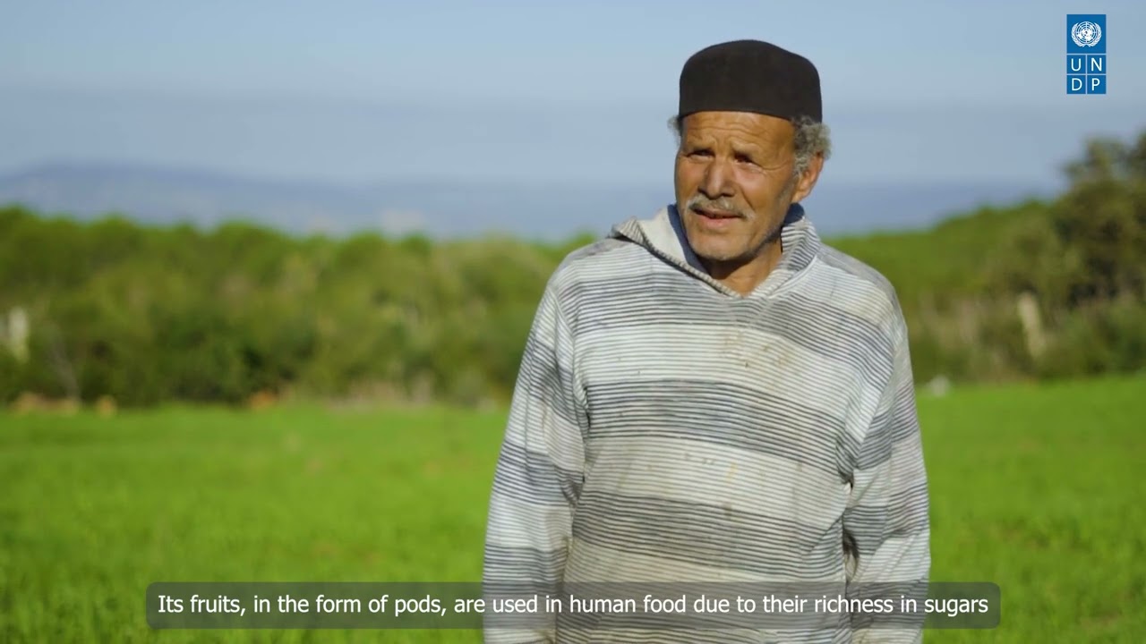 Biodiversity conservation and climate change adaptation in Tunisia