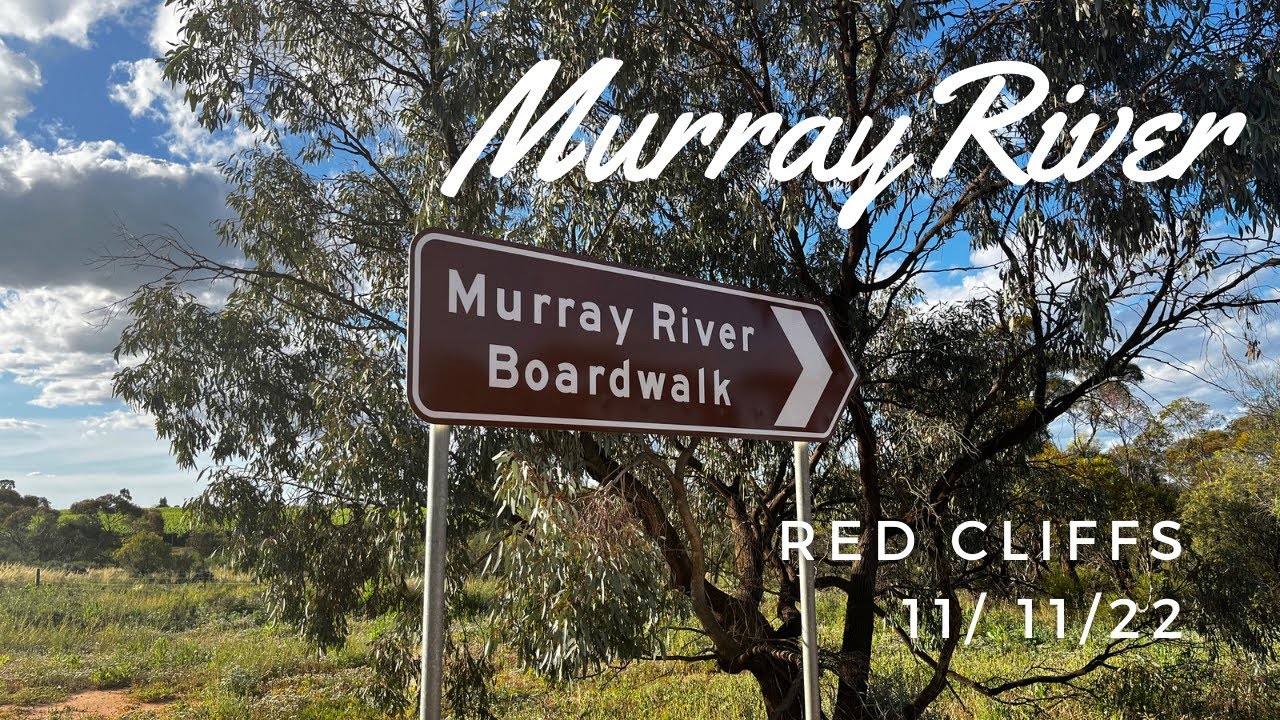 Murray River Boardwalk Red Cliffs 11/11/22