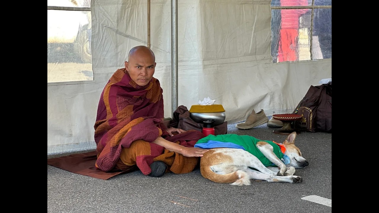 Venerable Bhikkhu Pannakara Monk Speaks at the Lincoln Memorial, February 11th, 2026.