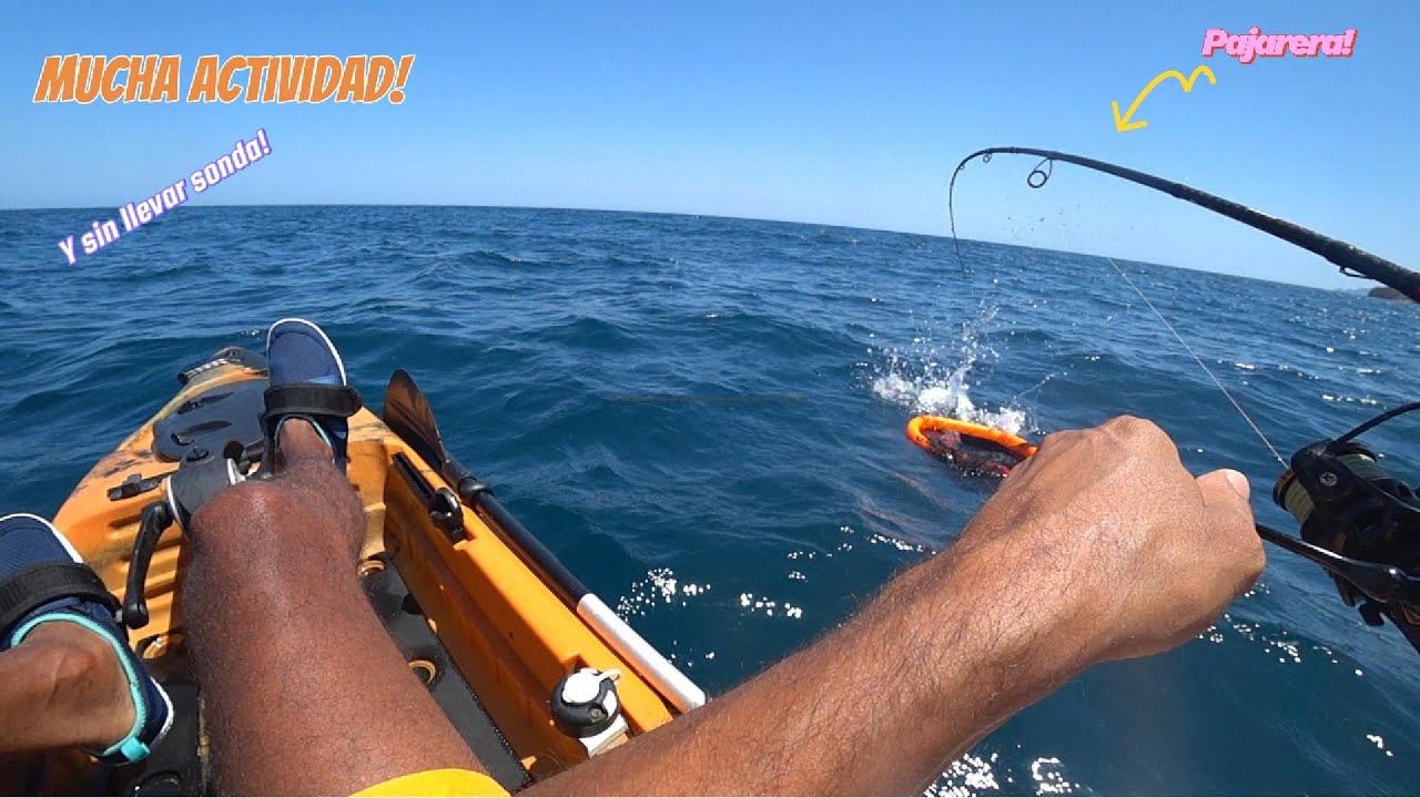 Un dia de Pesca con muchisima actividad!