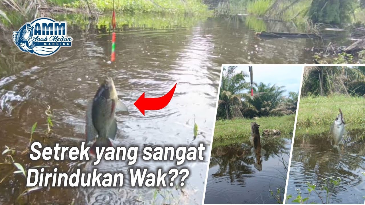 Mancing Liaran | Setrek yang sangat dirindukan
