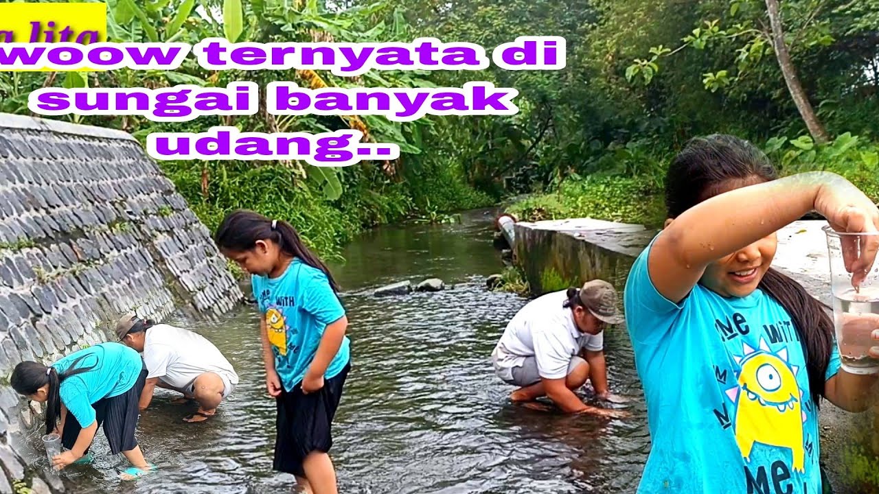 Mencari udang di sungai