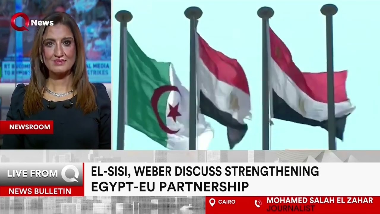 Egyptian foreign policy toward regional conflicts is supported by EU: Mohamed Salah