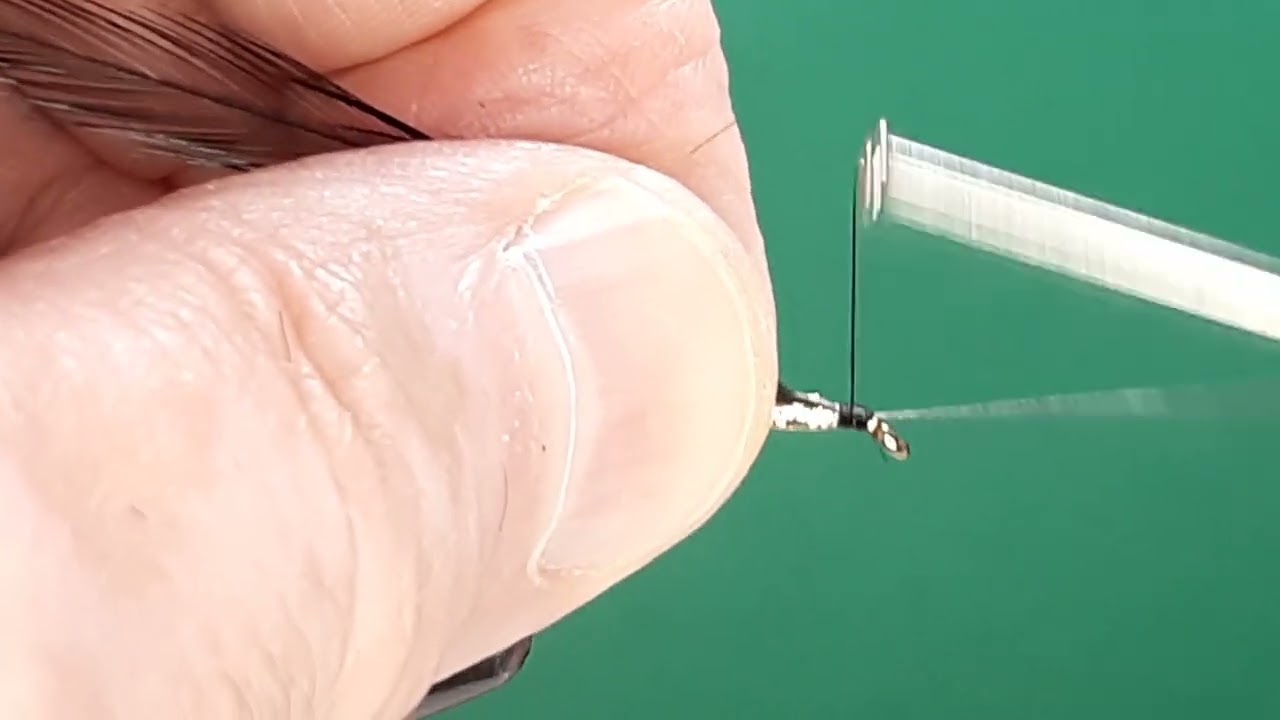 One Fly A Day - Kola Killer Streamer Variant