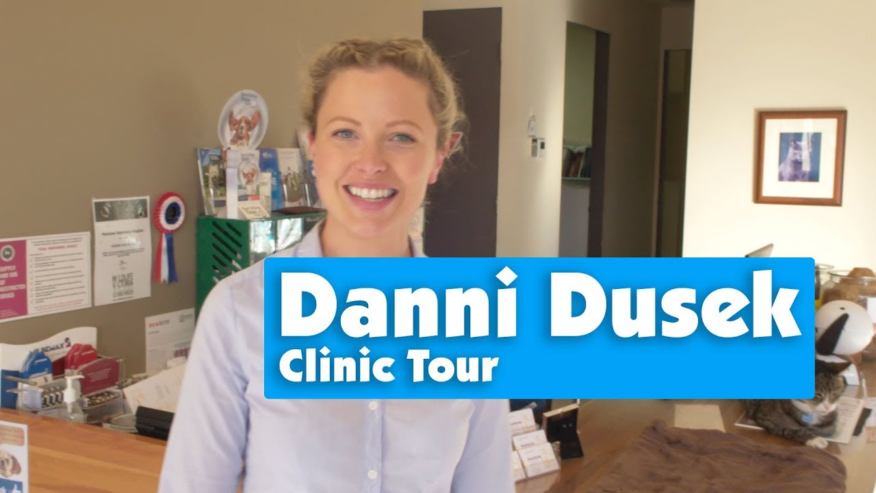Danni Dusek - CLINIC TOUR