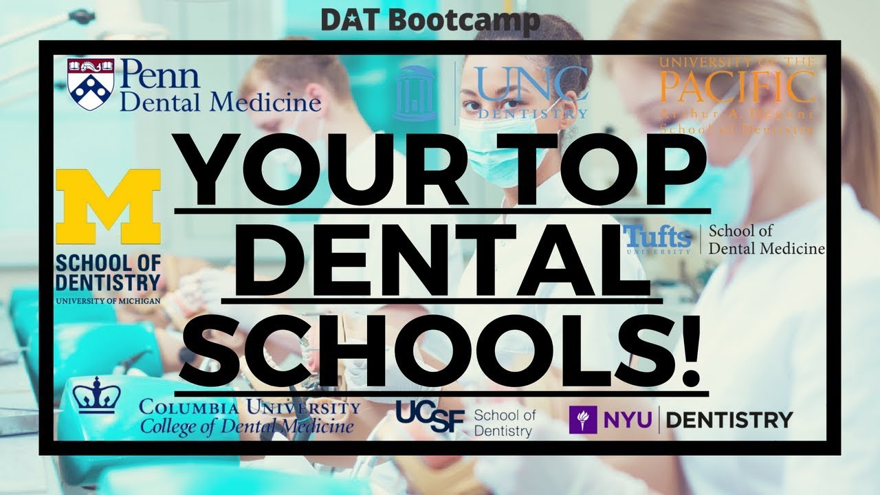 Your Top Dental Schools In Detail!