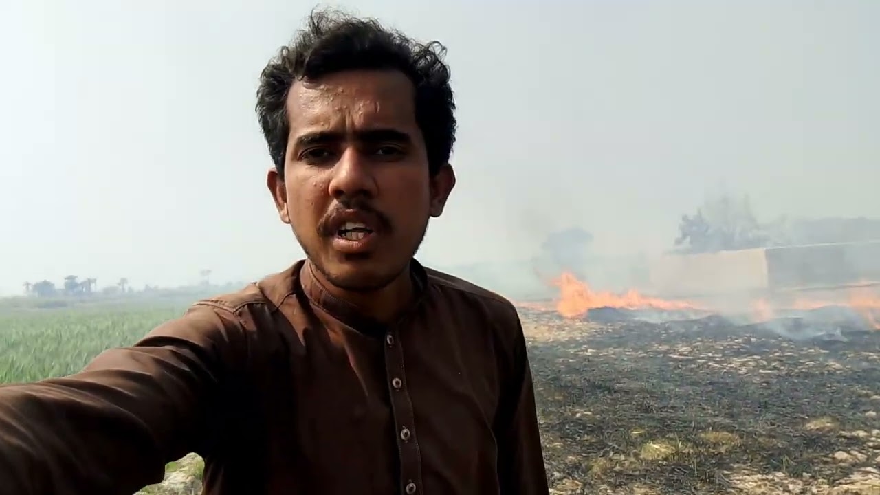 کماد میں موجود پتری کو آگ لگائی#viral #vlog #viralvideo #minivlog #subscribe #villagelife 
