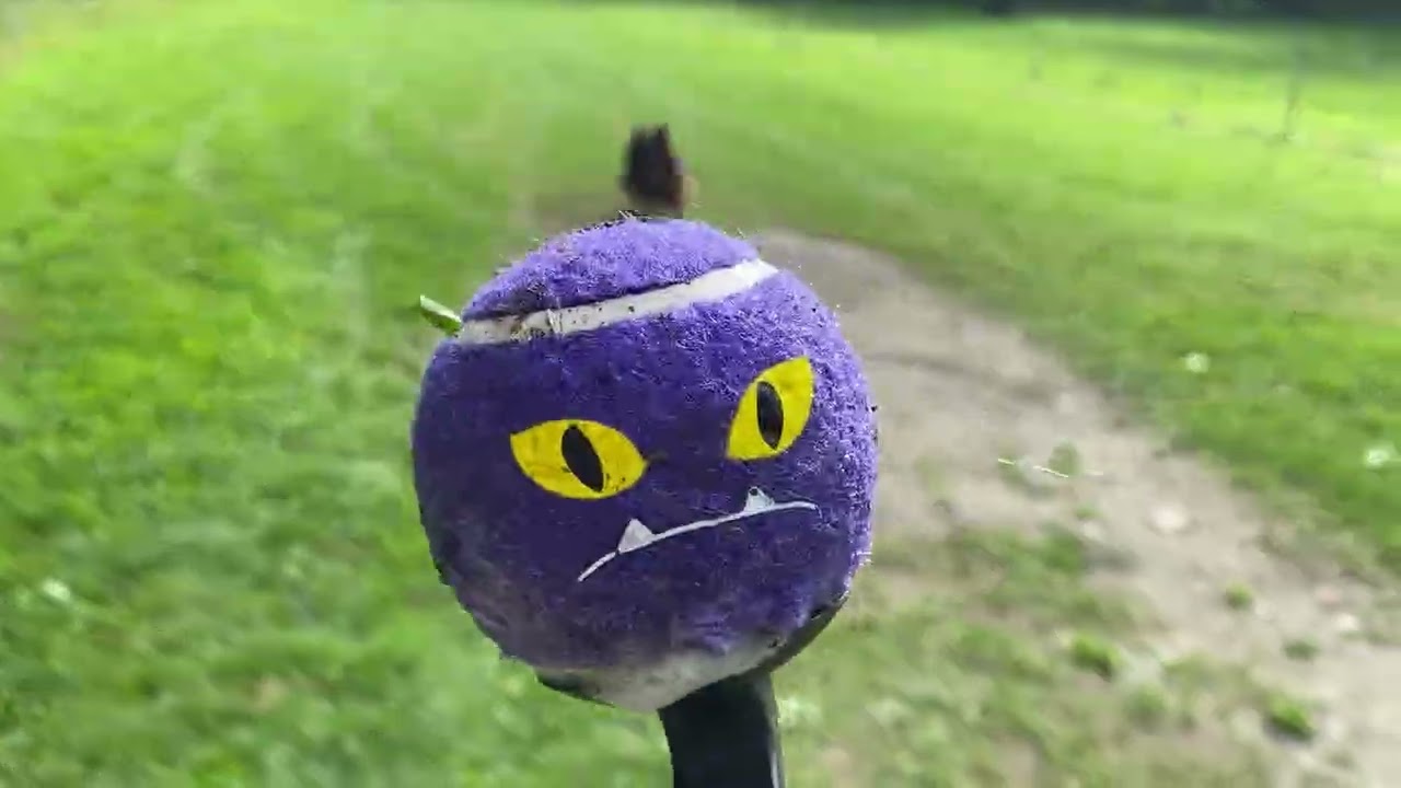 Der Ball