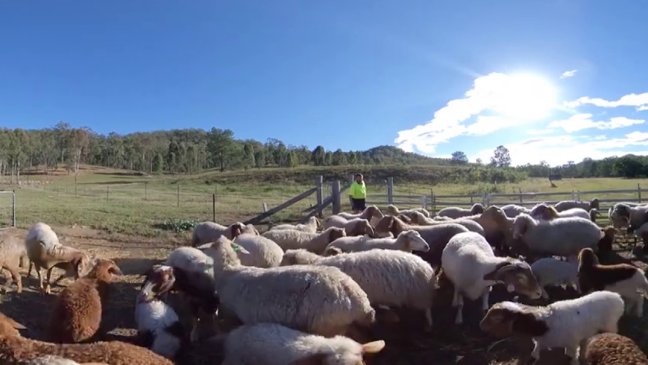 Awassi Queensland - LuvYa Lockyer Virtual Tour