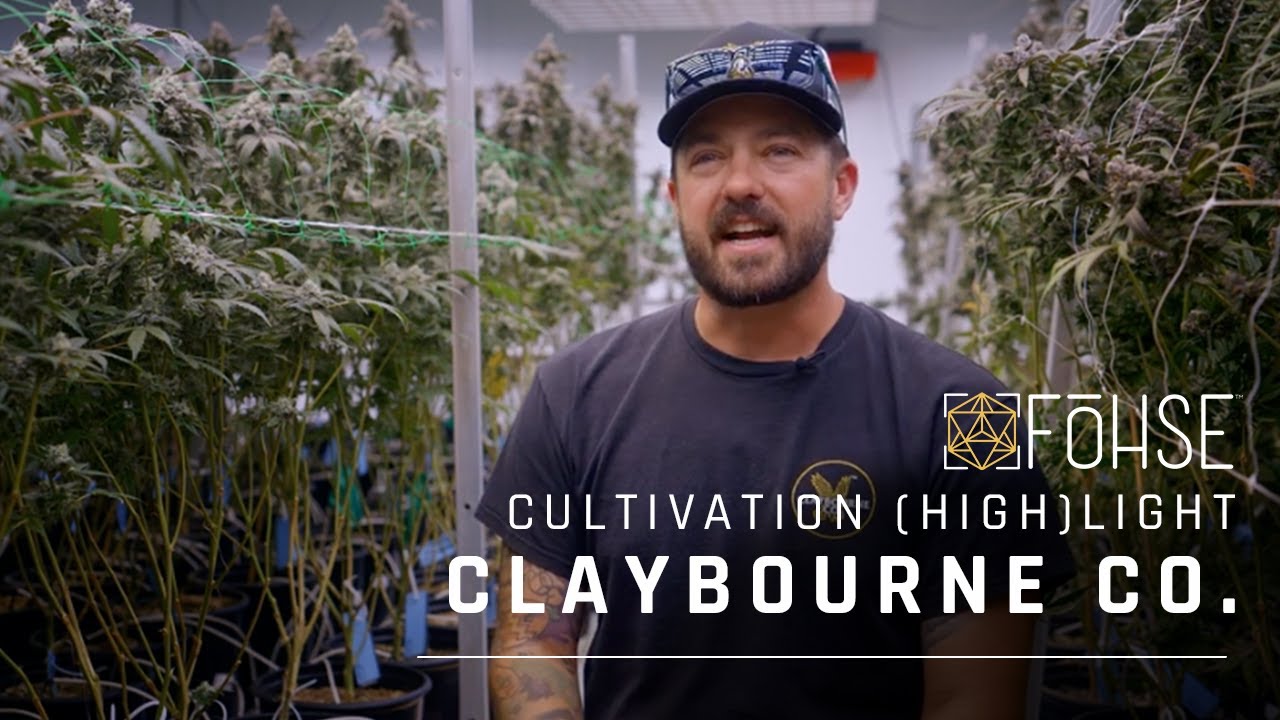 Claybourne Co. Cultivation | Breeding the Next Generation of Cannabis | Cultivation Highlight