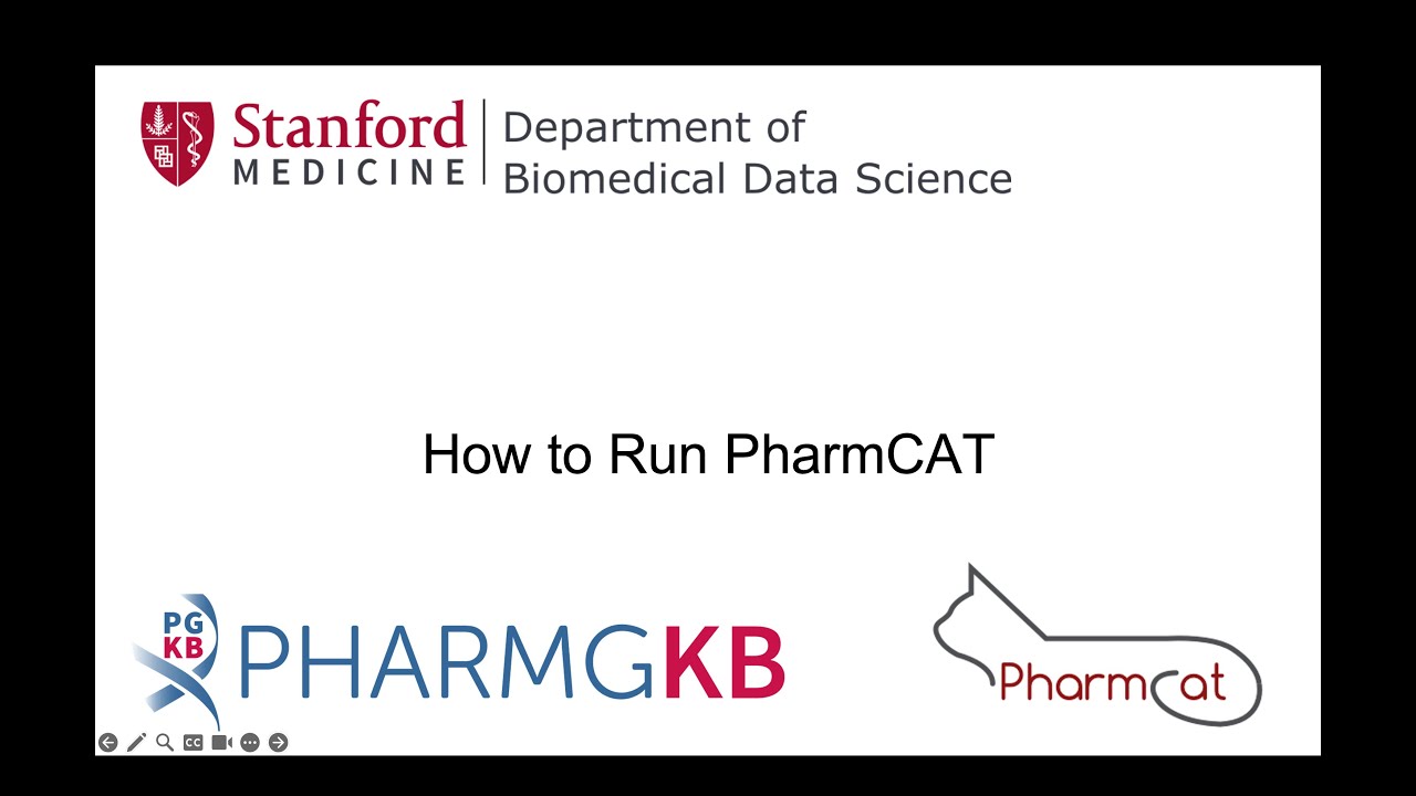 How to Run PharmCAT