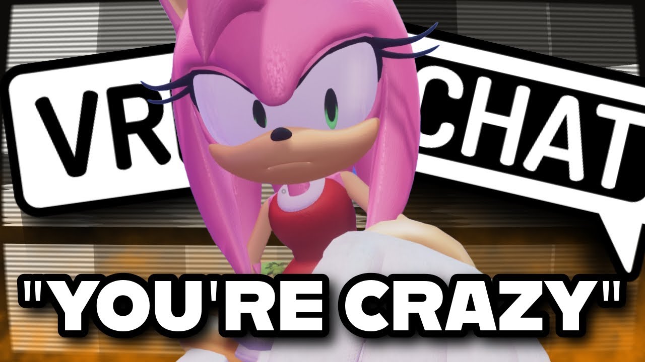 Things You Only See on VR Chat