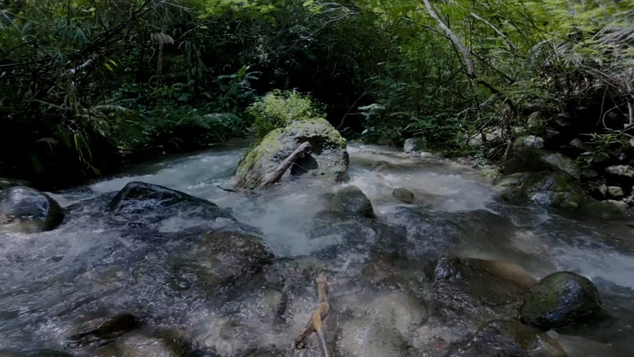 ASMR Water Sounds, River Sound for Insomnia