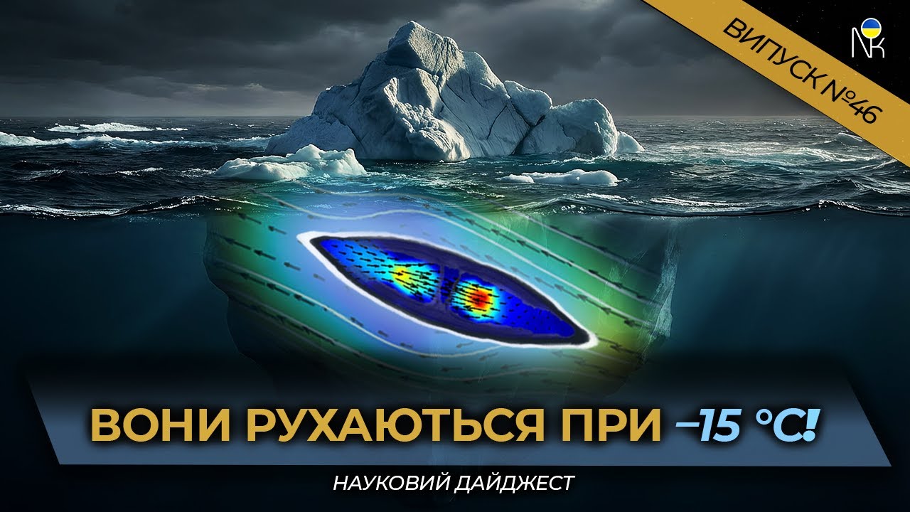 Рекордсмени Арктики, Гриб – замінник м’яса та Психологія альпінізму | Науковий дайджест