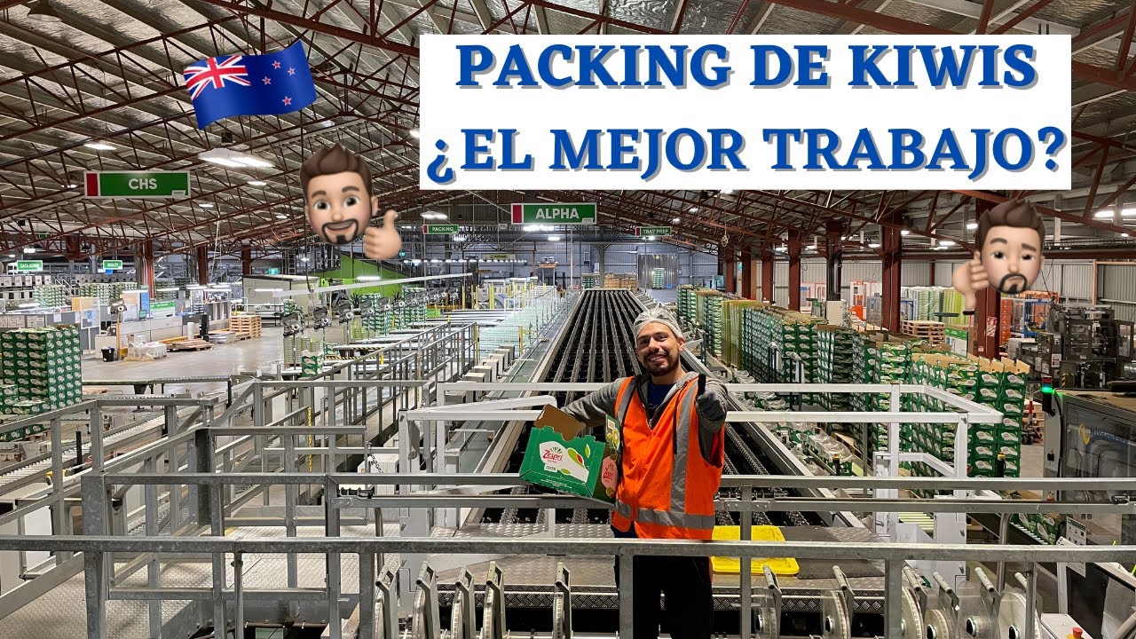 Ganar $1300 NZD por semana en una PACKHOUSE de kiwis es posible! 🥝📦🏭