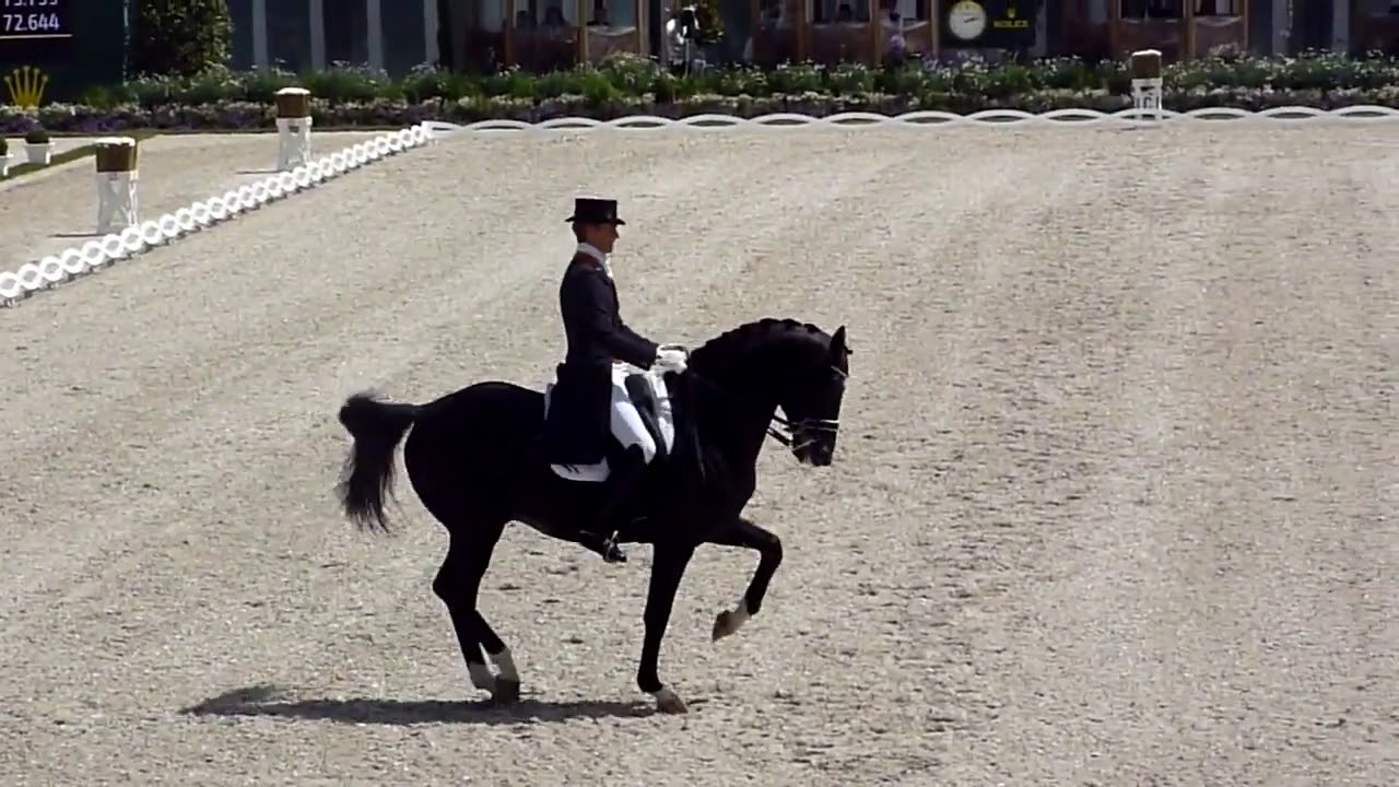 REPRISE DE DRESSAGE | Reprise Totilas : Commentées par Isabelle Judet – Juge 5* Internationale