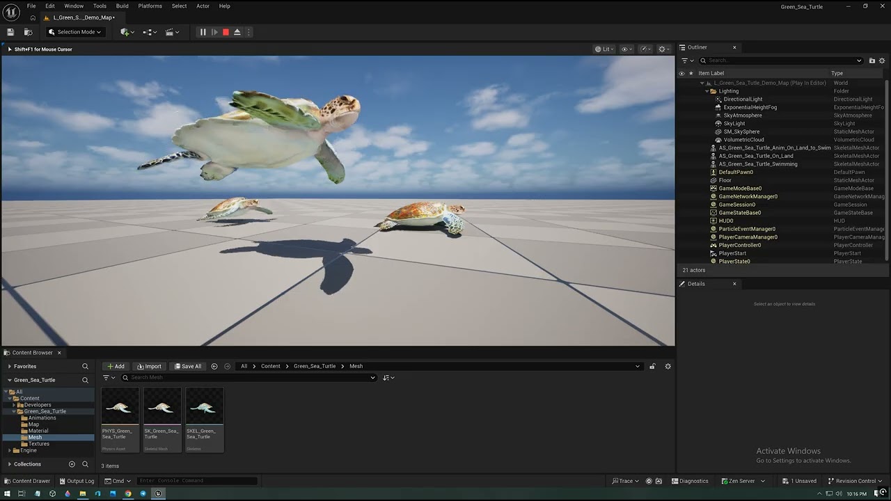 Gren Sea Turtle