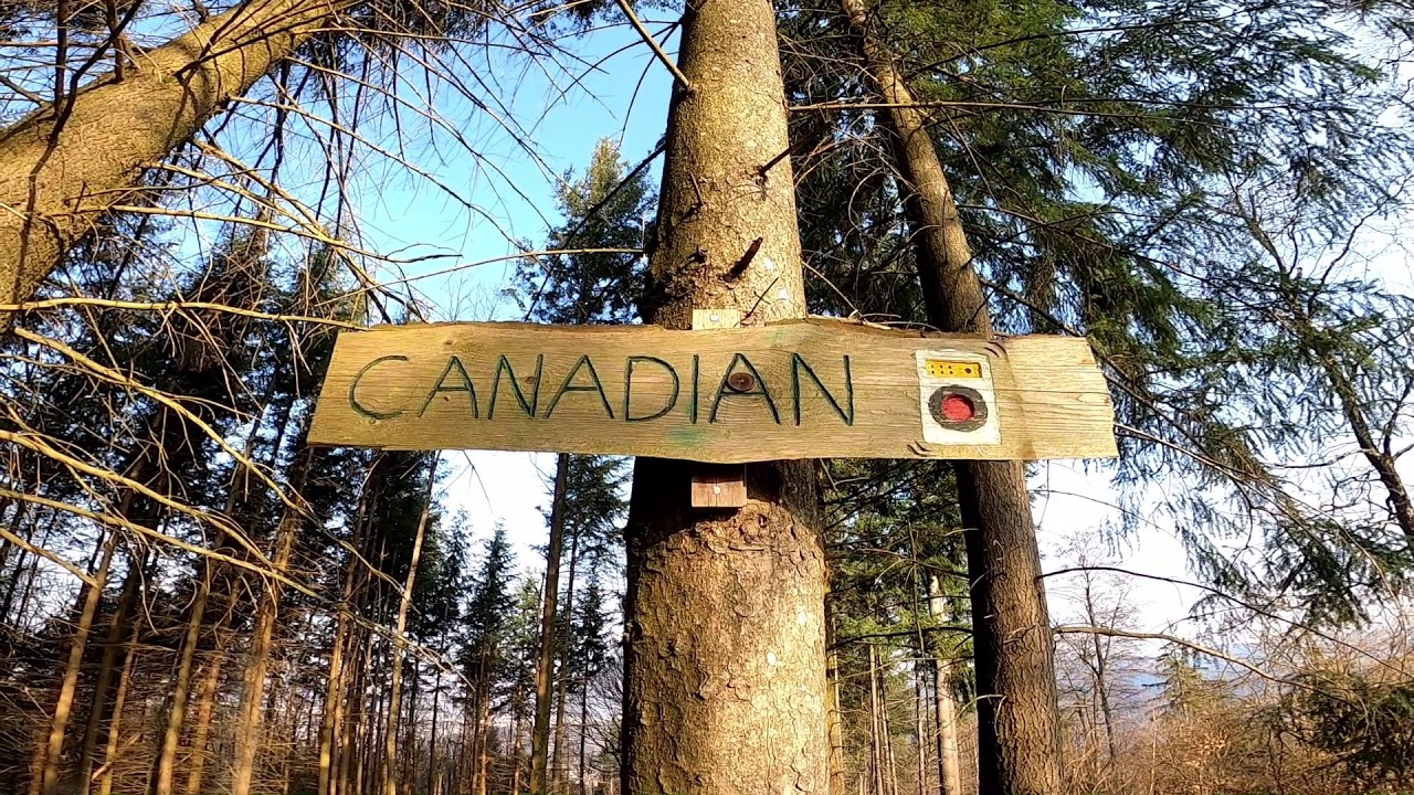 MTB Freiburg - Schauinslandtrails, Badish Moon Rising und Canadian Trail