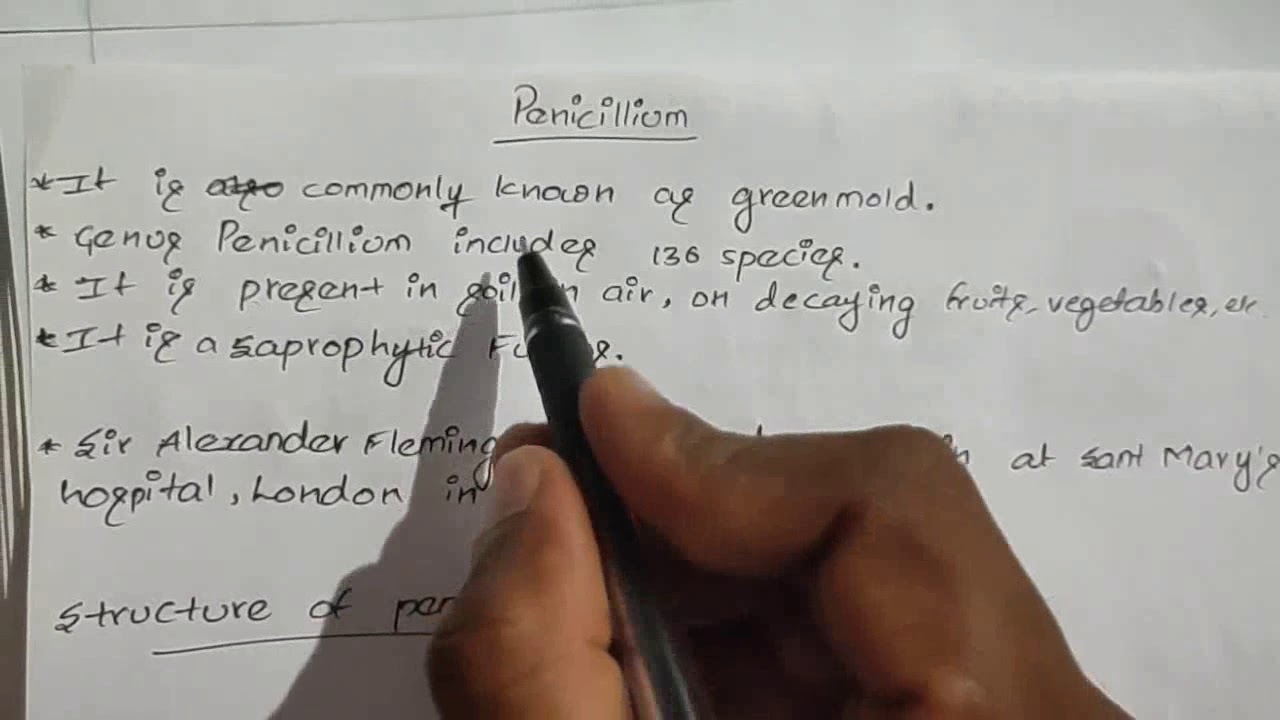 Life cycle of Penicillium-Asexual (Part-1)