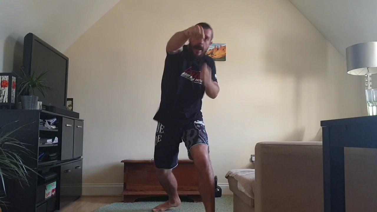 Inside shin defence against regular kick