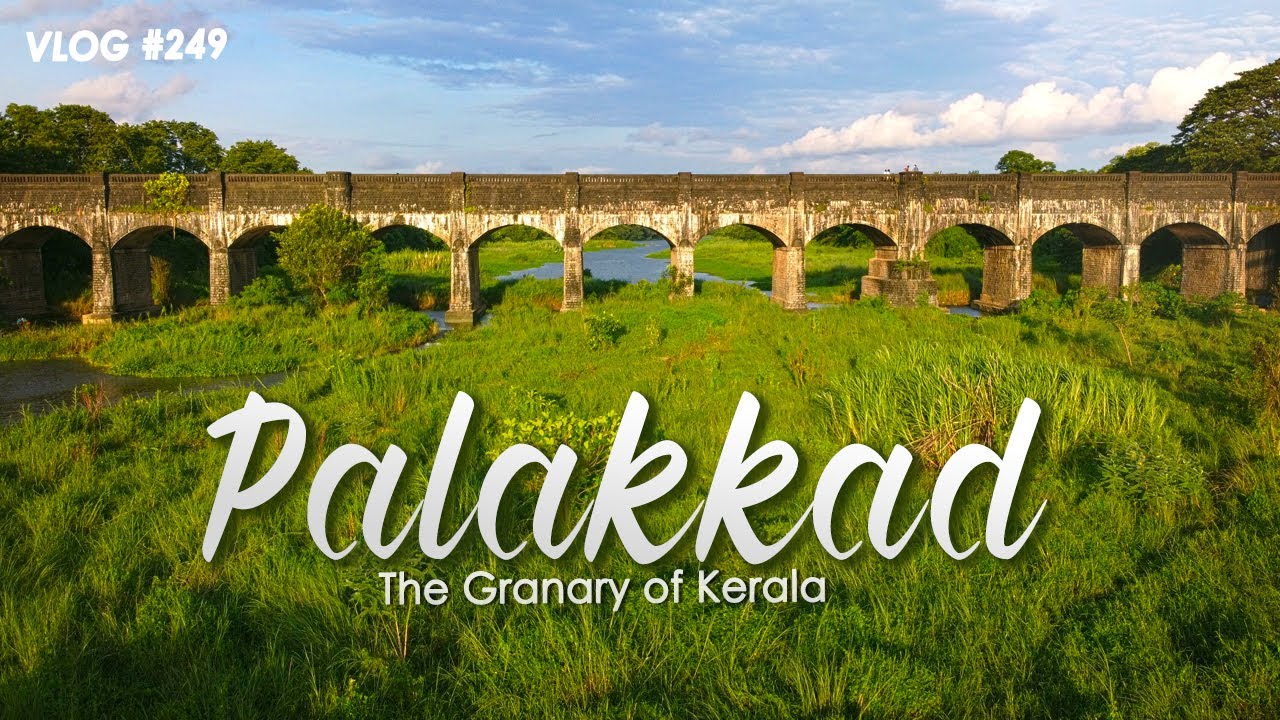 The Greenish Palakkad 🌴 Vamala Temple 🔥 Thathamangalam Bridge 🌲Kannadi Aqueduct - British Bridge