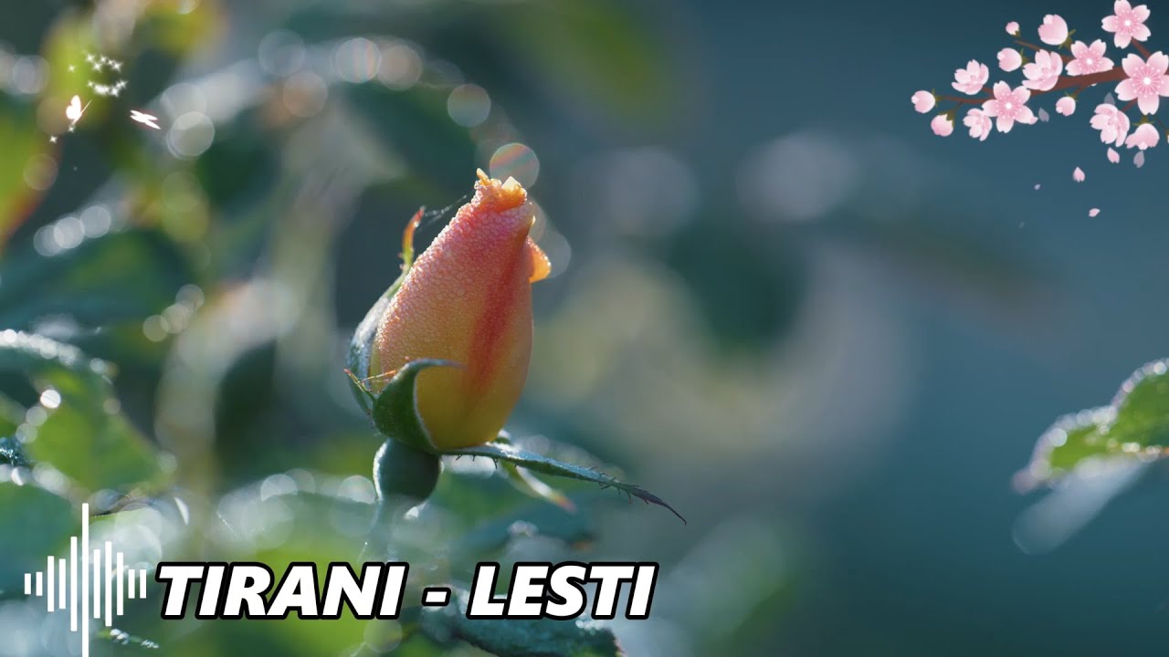 Lesti - Tirani || Lirik