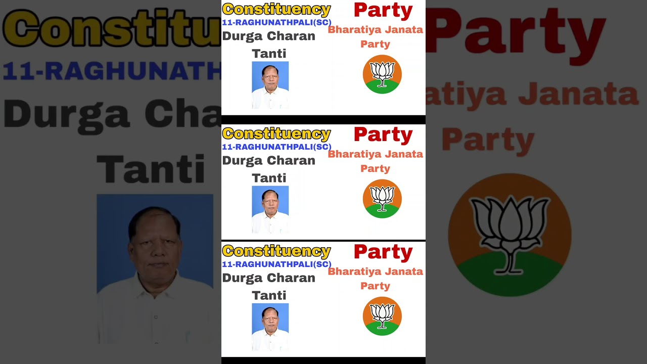 Biramitrapur Raghunathpali #odia #politics #shortfeed #ytshorts