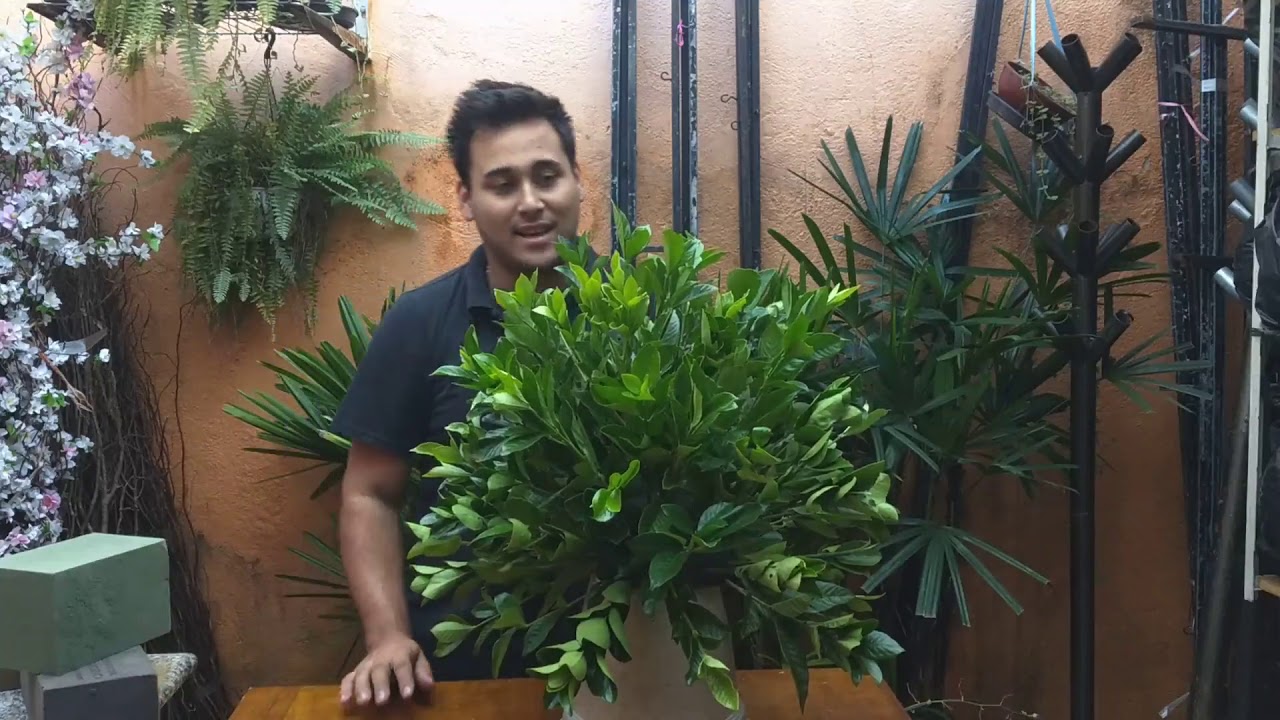 Arranjo floral de folhagem