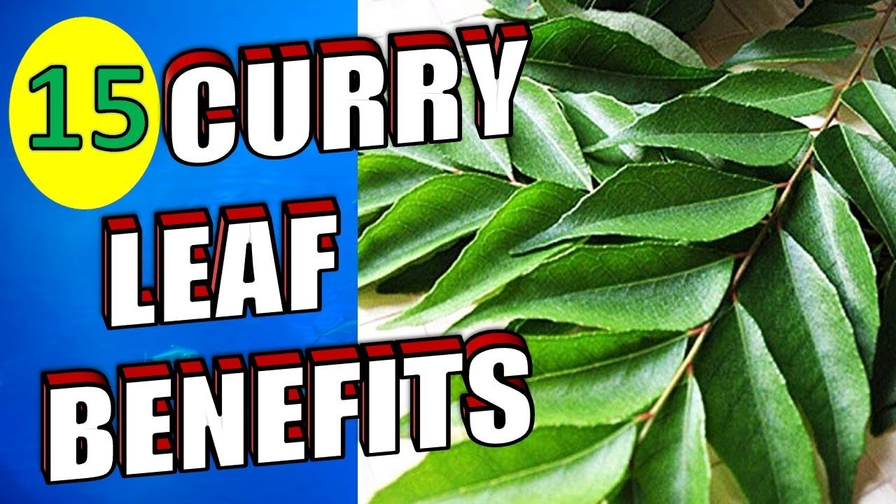 15  Incredible Benefits of Curry Leaves For Hair, Weight Loss & Skin