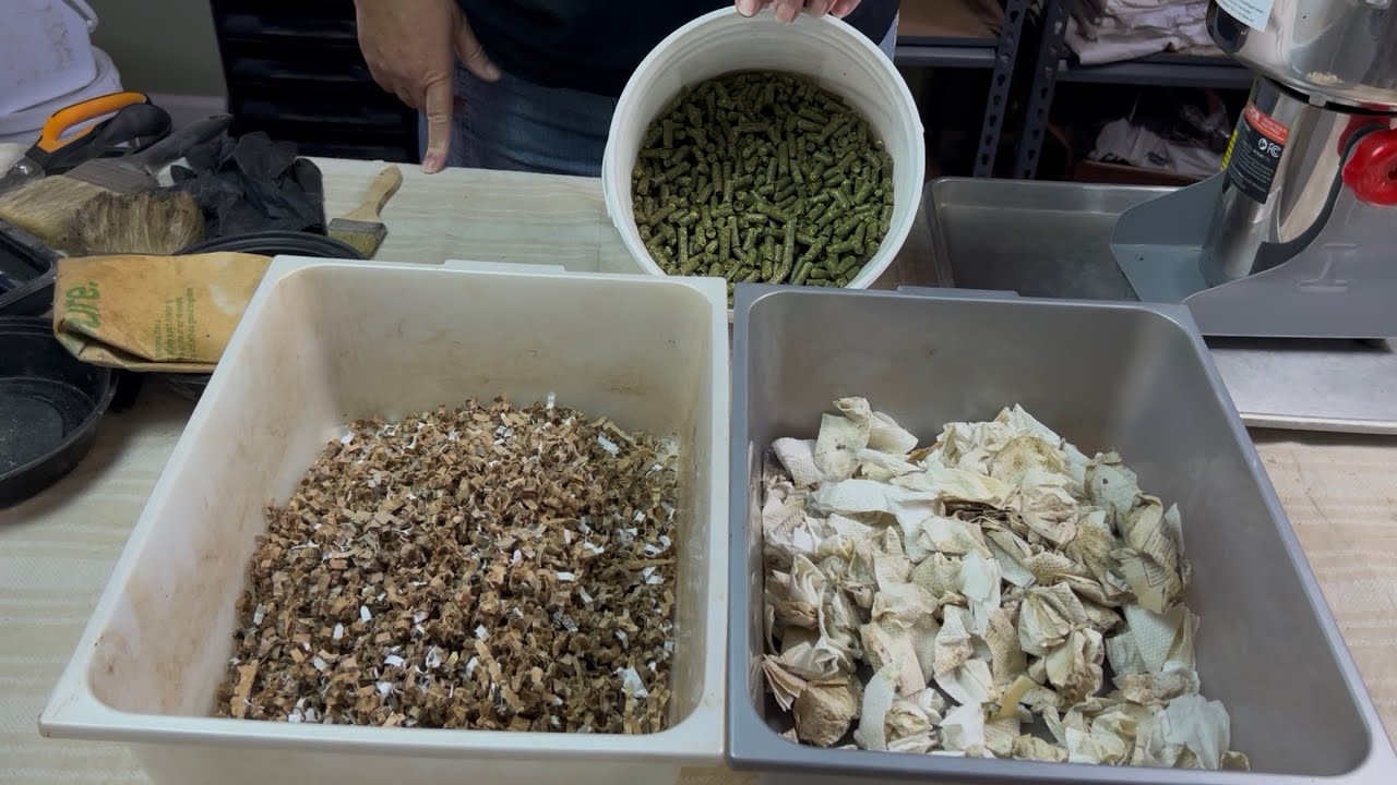Grinder Experiments - Cardboard, Paper Napkins, Alfalfa Pellets, 3 Year Wormaversary