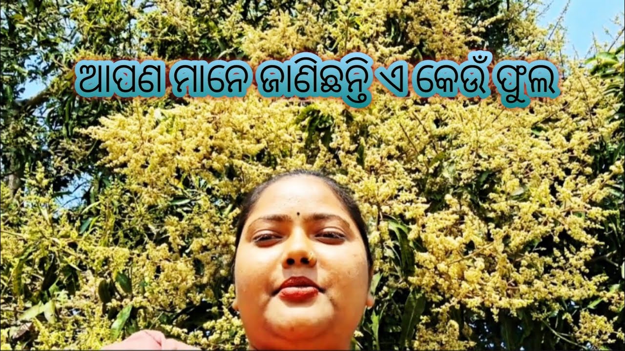 ଏ କେଉଁ ଫୁଲ କହିଲ ଦେଖିବା ସାଙ୍ଗମାନେ😜