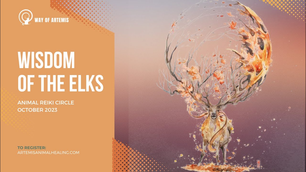 Animal Reiki Circle (ARC) - Wisdom of the Elks - October 2023