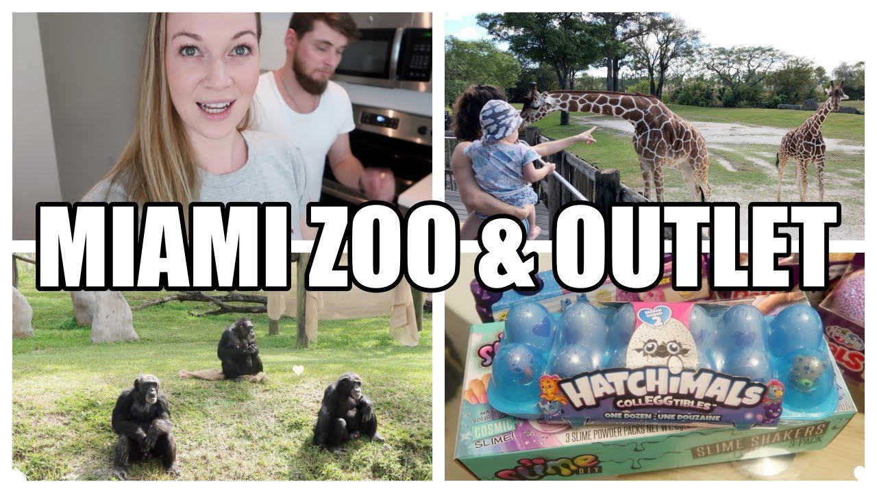 XXL Vlog |Giraffen füttern im Miami Zoo | Outlet Center + Haul