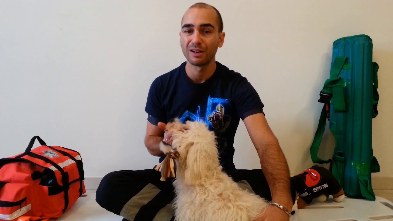 La Mia Storia (Luca Zelinotti): perch&eacute; Sicurezza sul Lavoro dei Cinofili, dei loro Cani e il CBRNe