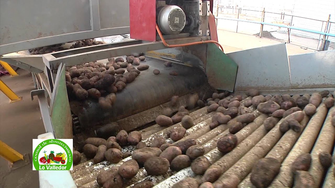 LAVADORA DE PAPAS EN LO VALLEDOR