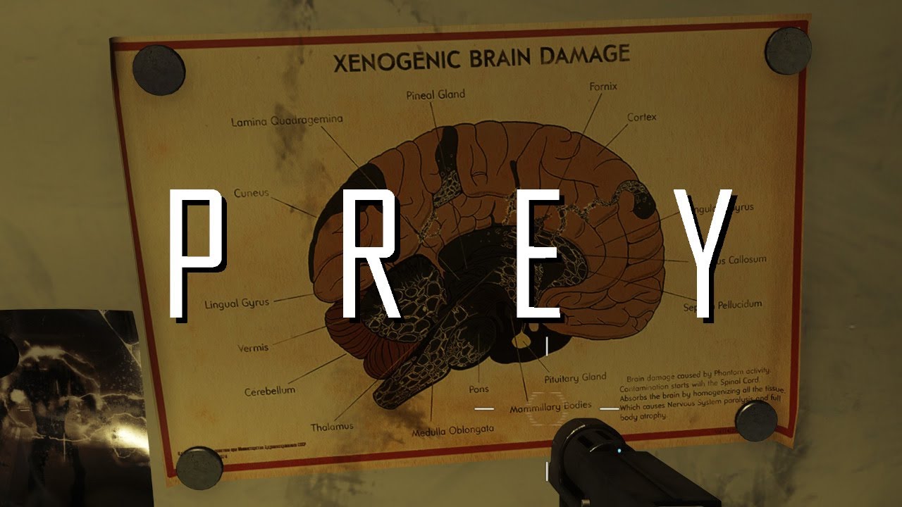 Prey (2017) - Интенсивная космическая паранойя, часть 6: Я играю нормально, клянусь!