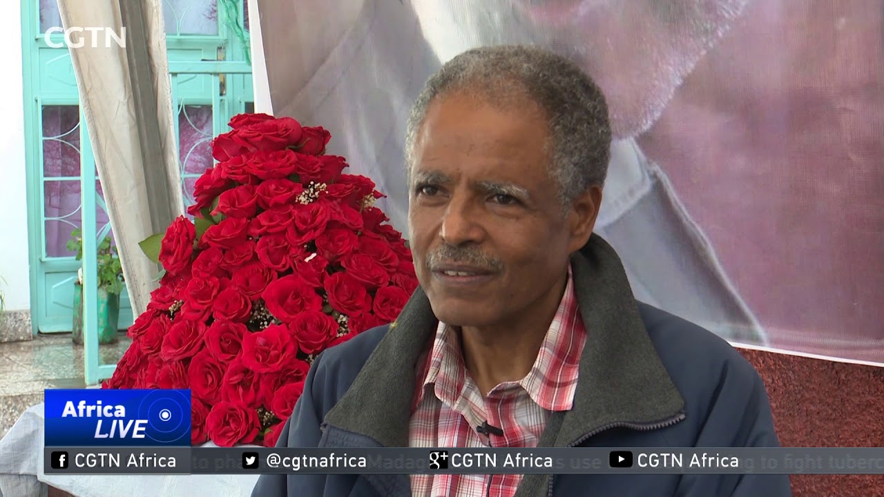 INTERVIEW: High-profile political prisoner freed in Ethiopia amid reconciliation drive