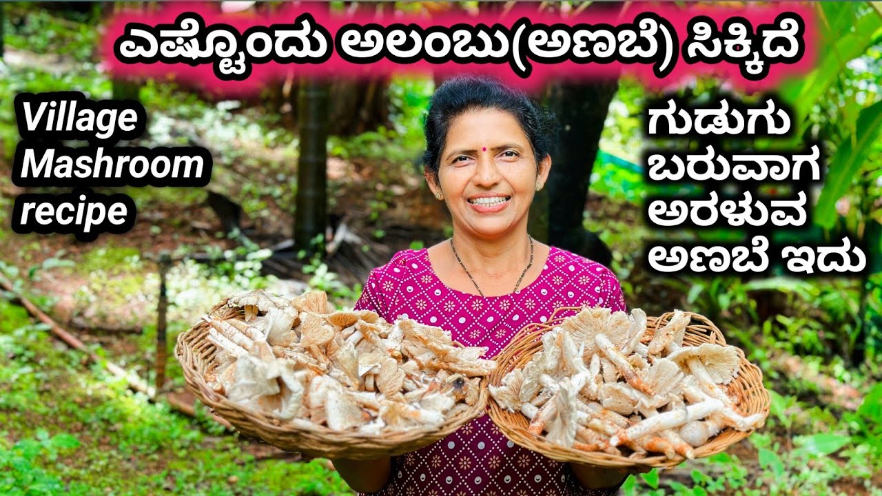 ಗುಡ್ಡದ ಅಣಬೆ(ಅಲಂಬು) ರೆಸಿಪಿ-ರಾಶಿ ಅಣಬೆಯಿಂದ ಹಳ್ಳಿ ಸ್ಟೈಲ್ ರೆಸಿಪಿ ಮಾಡುವ |Village Style Mashroom recipe
