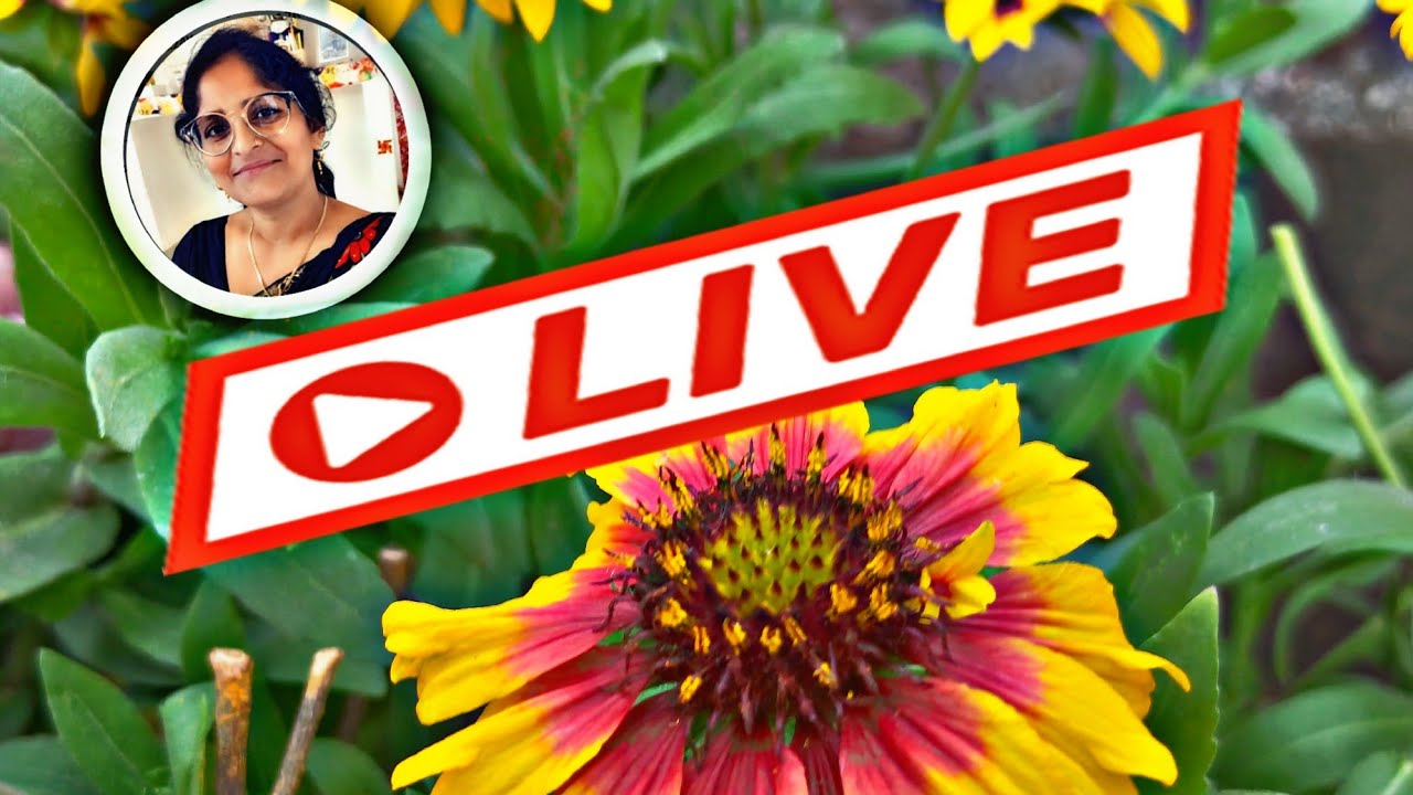 सामान्य ज्ञान samany Gyan SSC GD IAS RRB GK #SSC​​ #IAS​​ #GK​​ #virallive​​ #trendinglive​​ #viral