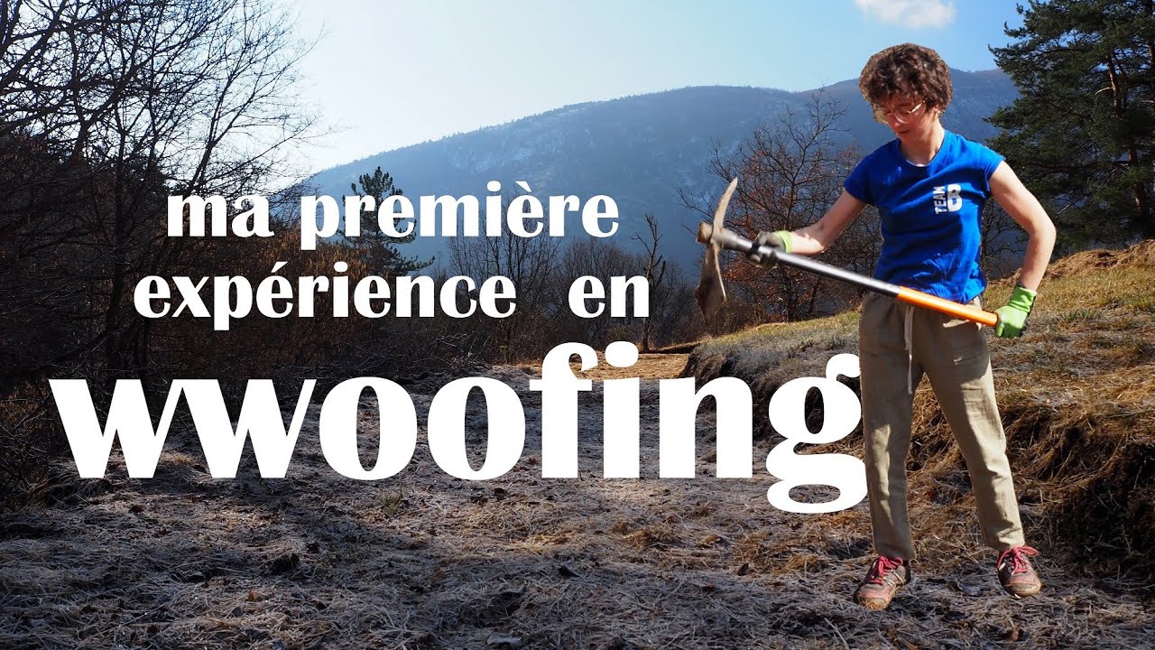 VIVE le WWOOFING ! (auto-suffisance, agroforesterie, survivalisme : j'apprends plein de choses !)